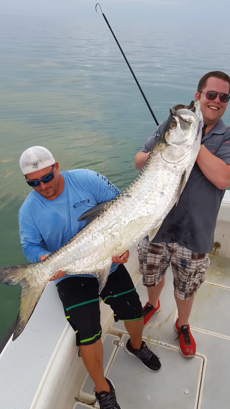 night-fishing-sharter-img